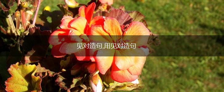 见对造句,用见对造句,第1张