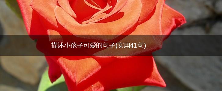 描述小孩子可爱的句子(实用41句),第1张