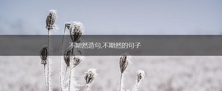不期然造句,不期然的句子,第1张