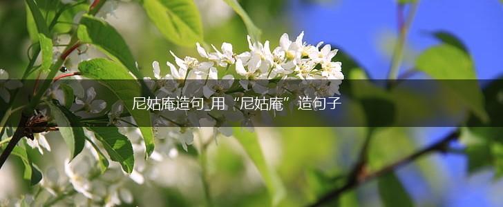 尼姑庵造句_用“尼姑庵”造句子,第1张