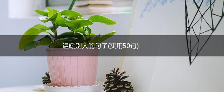 温暖别人的句子(实用50句),第1张