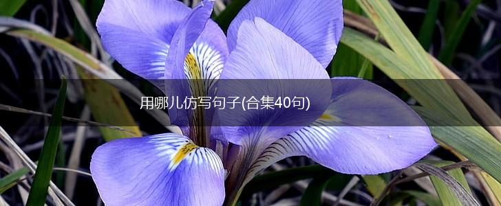 用哪儿仿写句子(合集40句),第1张