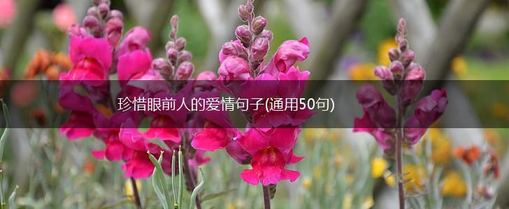 珍惜眼前人的爱情句子(通用50句),第1张
