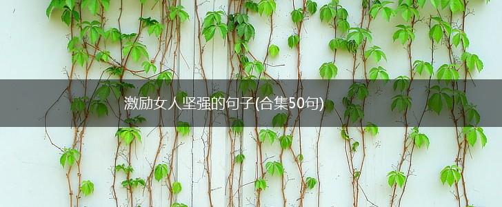 激励女人坚强的句子(合集50句),第1张