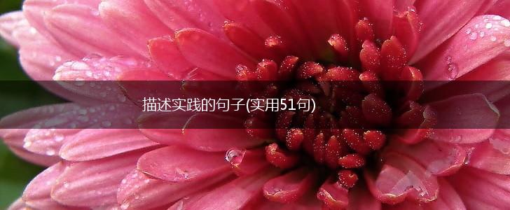 描述实践的句子(实用51句),第1张