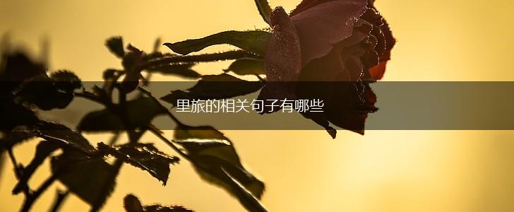里旅的相关句子有哪些,第1张