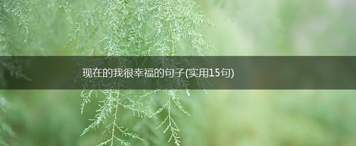 现在的我很幸福的句子(实用15句),第1张