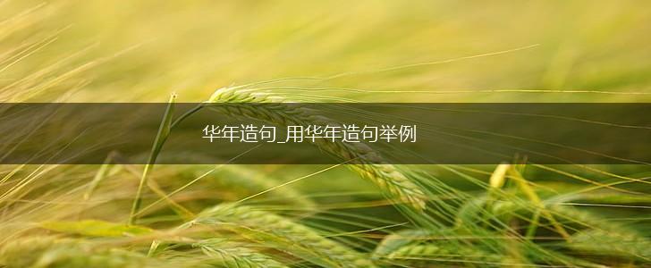 华年造句_用华年造句举例,第1张