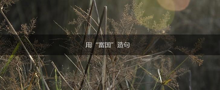 用“富国”造句,第1张