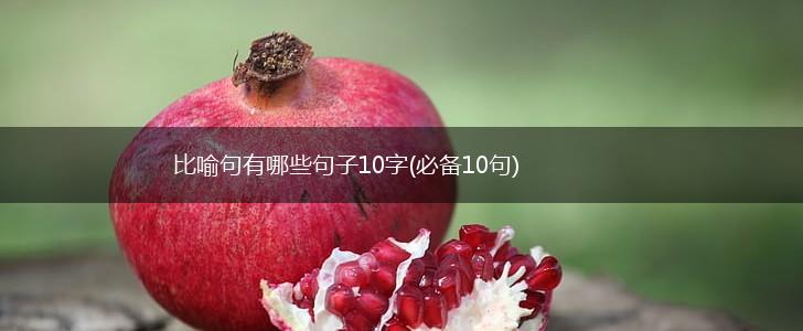 比喻句有哪些句子10字(必备10句),第1张