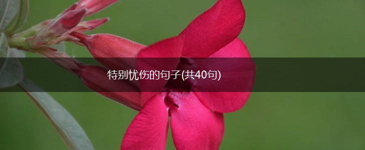 特别忧伤的句子(共40句),第1张