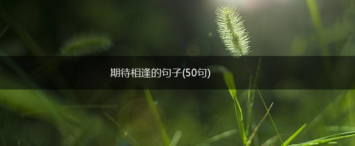 期待相逢的句子(50句),第1张
