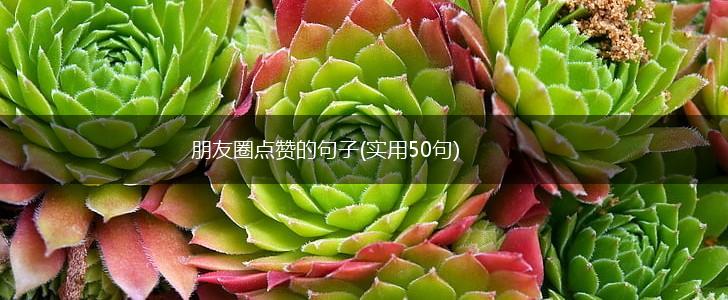 朋友圈点赞的句子(实用50句),第1张