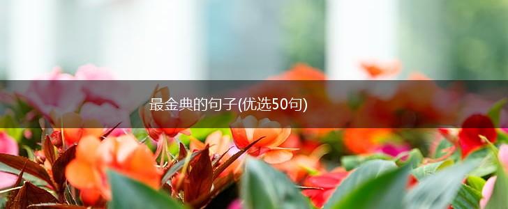 最金典的句子(优选50句),第1张