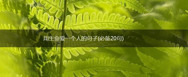 用生命爱一个人的句子(必备20句),第1张