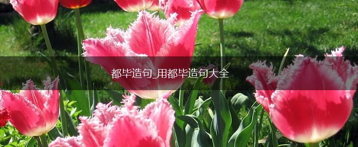 都毕造句_用都毕造句大全,第1张