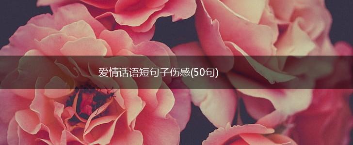 爱情话语短句子伤感(50句),第1张
