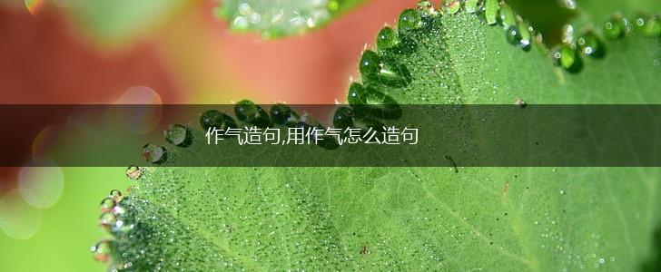 作气造句,用作气怎么造句,第1张