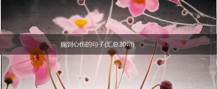 痛到心伤的句子(汇总30句),第1张