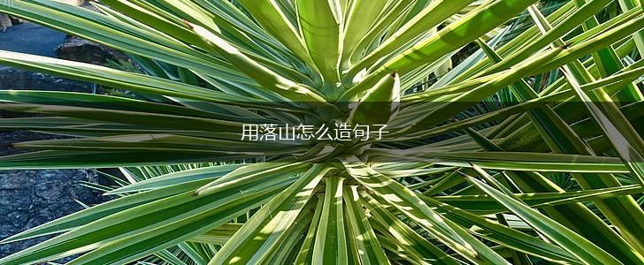 用落山怎么造句子,第1张