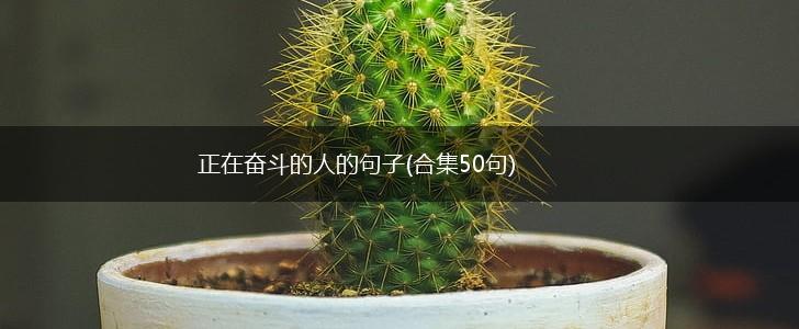 正在奋斗的人的句子(合集50句),第1张