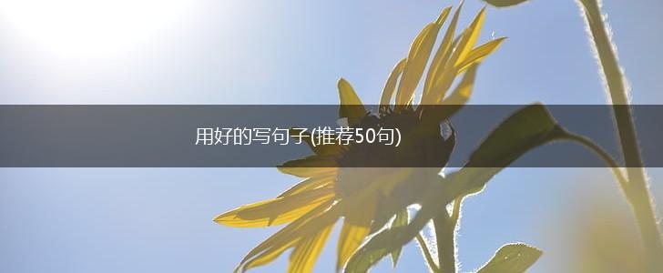 用好的写句子(推荐50句),第1张