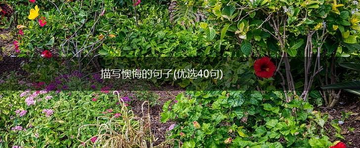 描写懊悔的句子(优选40句),第1张