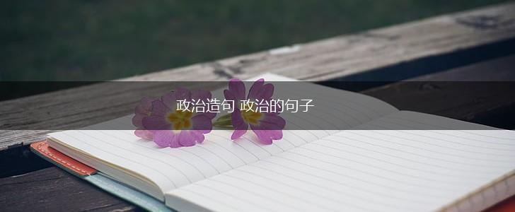 政治造句 政治的句子,第1张