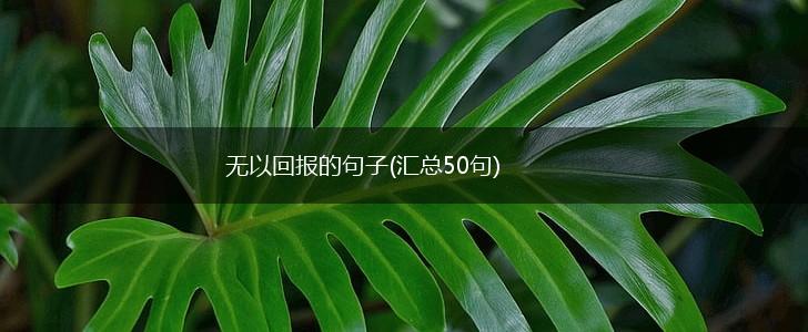 无以回报的句子(汇总50句),第1张