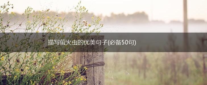 描写萤火虫的优美句子(必备50句),第1张