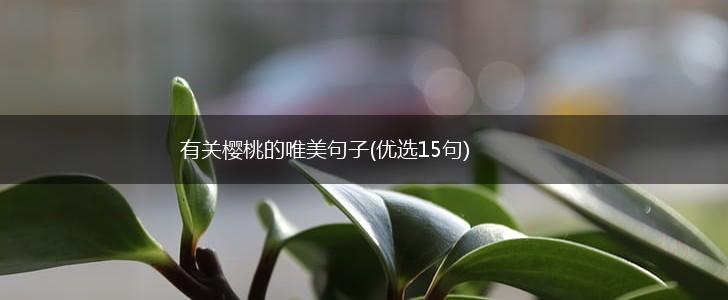 有关樱桃的唯美句子(优选15句),第1张