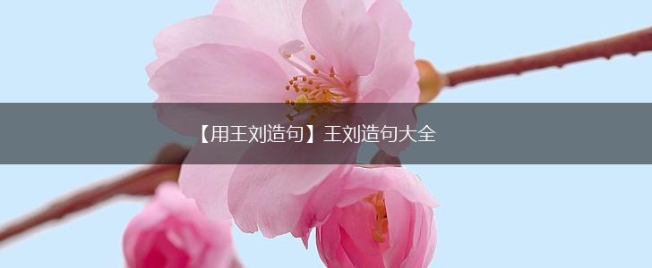【用王刘造句】王刘造句大全,第1张