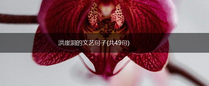 洪崖洞的文艺句子(共49句),第1张