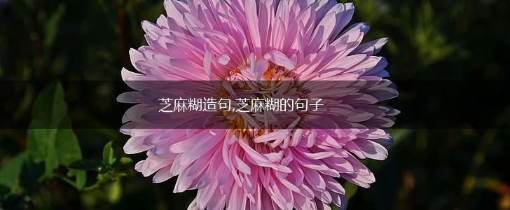 芝麻糊造句,芝麻糊的句子,第1张