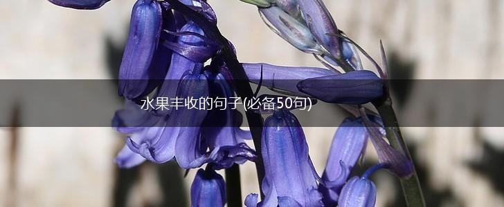 水果丰收的句子(必备50句),第1张