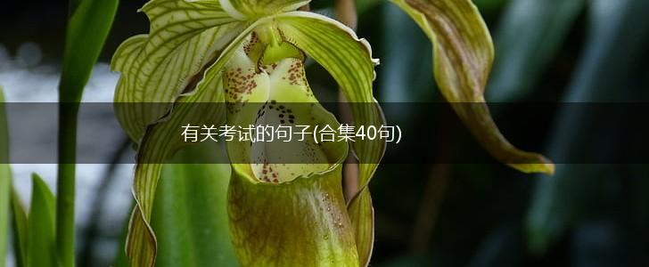 有关考试的句子(合集40句),第1张
