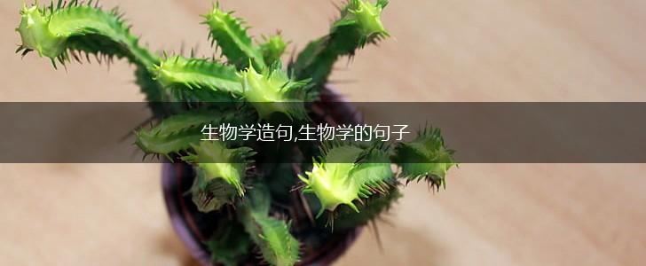 生物学造句,生物学的句子,第1张