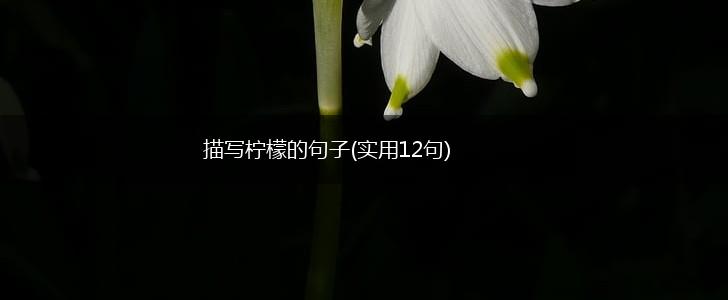 描写柠檬的句子(实用12句),第1张