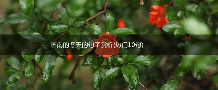 济南的冬天的句子赏析(热门10句),第1张