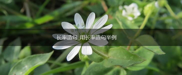 长率造句_用长率造句举例,第1张