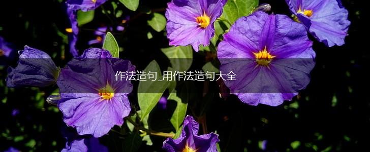 作法造句_用作法造句大全,第1张