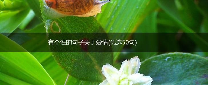 有个性的句子关于爱情(优选50句),第1张