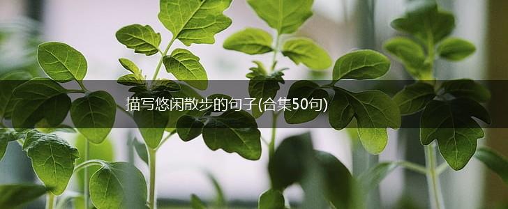 描写悠闲散步的句子(合集50句),第1张