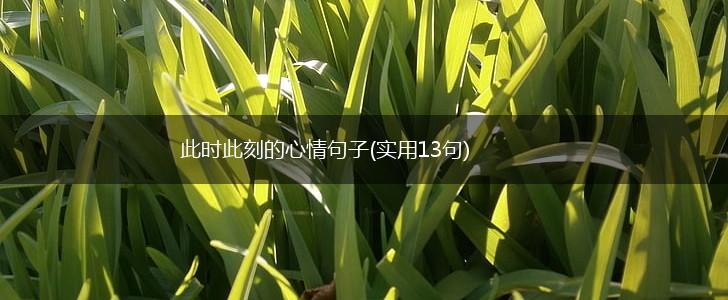 此时此刻的心情句子(实用13句),第1张