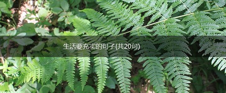 生活要充实的句子(共20句),第1张