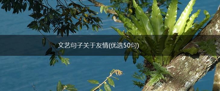 文艺句子关于友情(优选50句),第1张