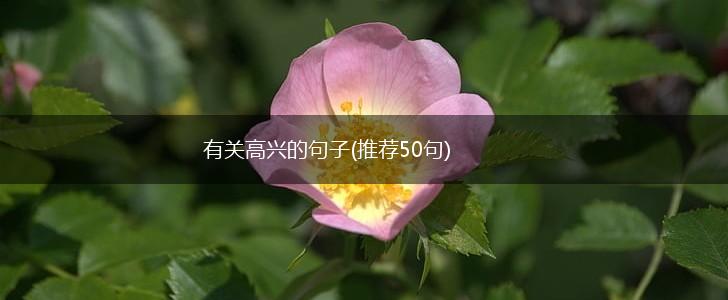 有关高兴的句子(推荐50句),第1张