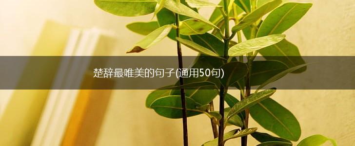 楚辞最唯美的句子(通用50句),第1张