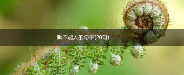 瞧不起人的句子(20句),第1张