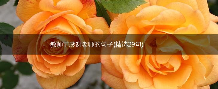 教师节感谢老师的句子(精选29句),第1张